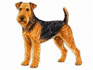 Original Airedale Terrier Dog Drawing