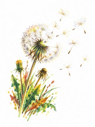 Original Autumn Dandelion Seeds Drawing