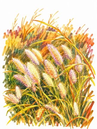 Original Autumn Foxtail Meadow Drawing