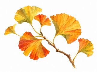 Original Autumn Ginkgo Branch Drawing