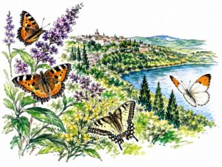 Original Butterflies in the Park of Castelli Romani Italy Drawing