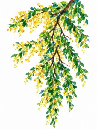 Original Cascading Golden Blossom Branch Drawing