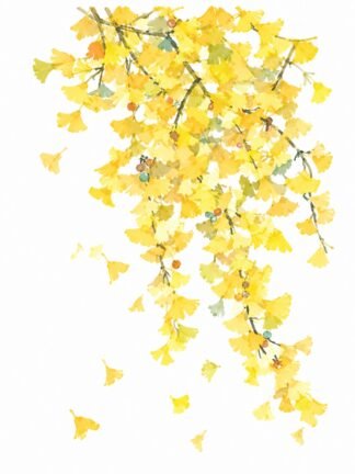 Original Cascading Golden Ginkgo Leaves Drawing