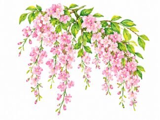 Original Cascading Pink Blossom Branches Drawing