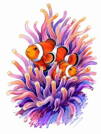 Original Clownfish Anemone Drawing