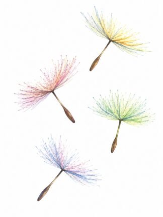 Original Dandelion Seeds Drawing