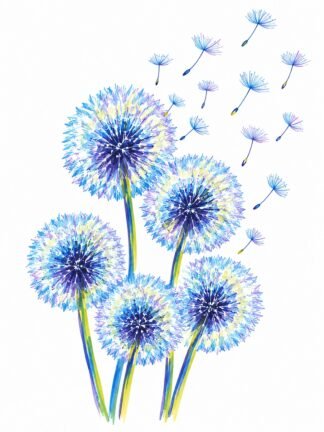 Original Dandelion Drawing
